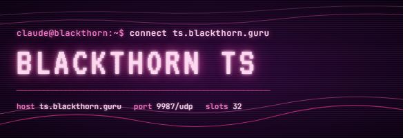 Blackthorn TS — pink-phosphor banner